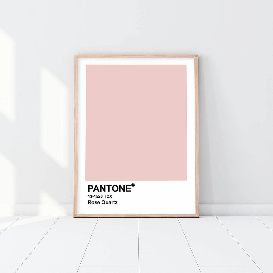 Pantone - Rose Quartznordic style wall decor