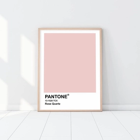 Pantone - Rose Quartznordic style wall decor
