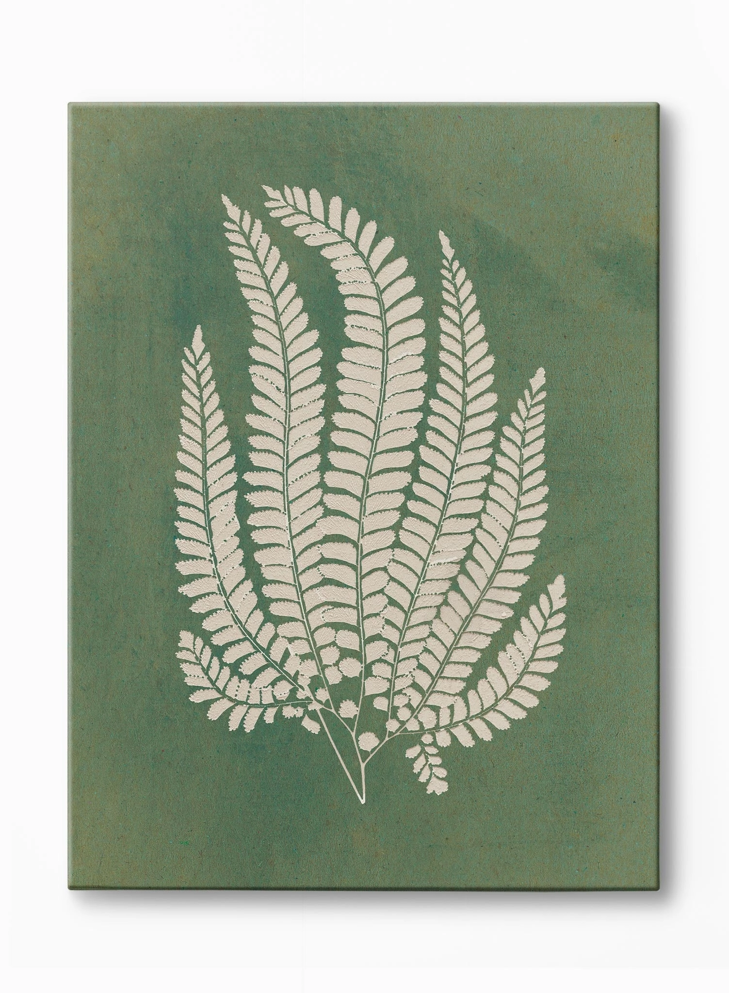 Papercut Lady Fern, Canvasindoor decorative canvas print