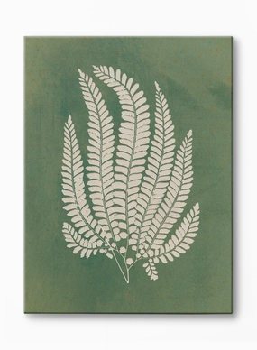Papercut Lady Fern, Canvasindoor decorative canvas print