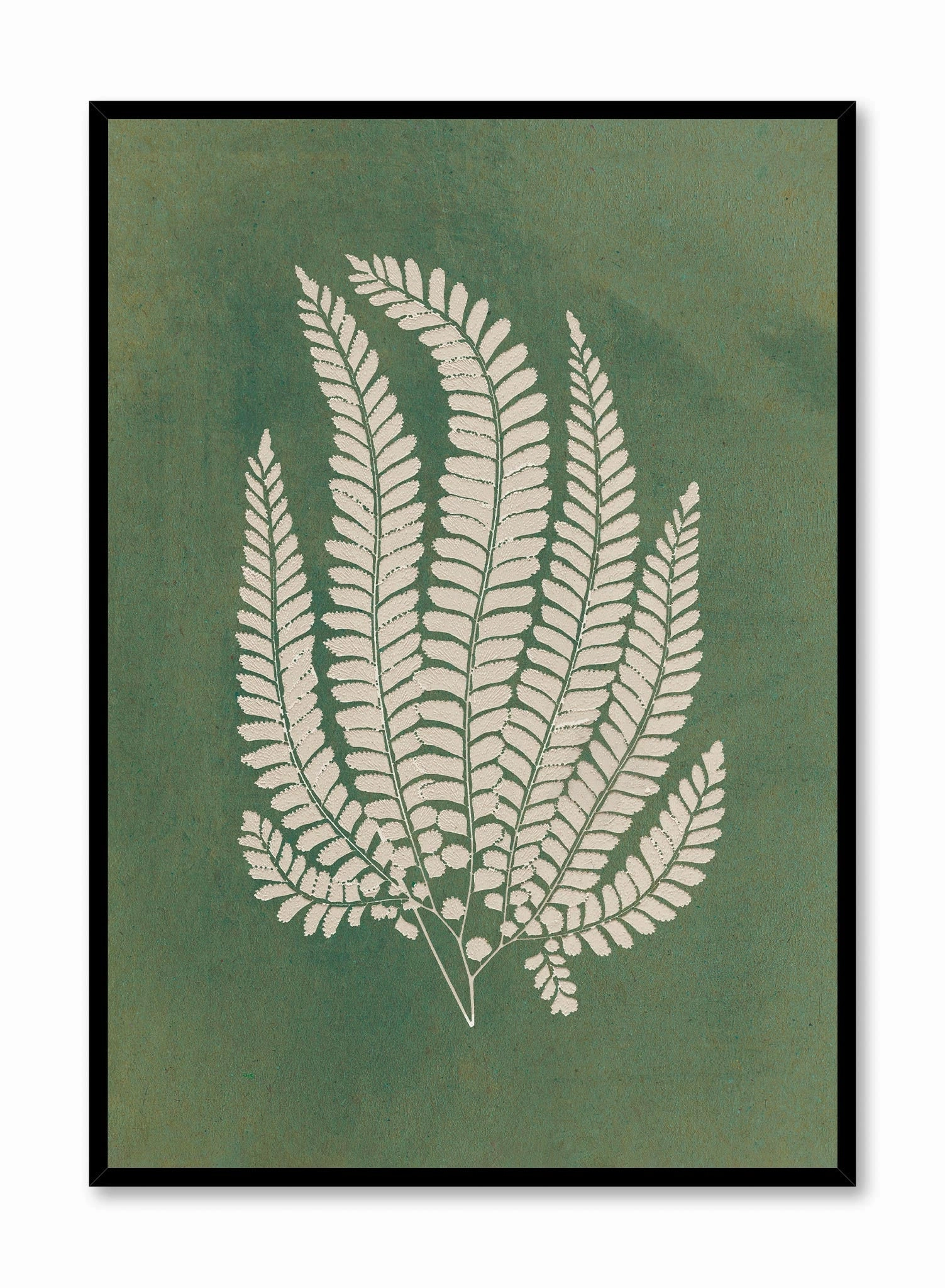 Papercut Lady Fern, Posterpop culture themed posters