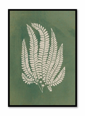 Papercut Lady Fern, Posterpop culture themed posters