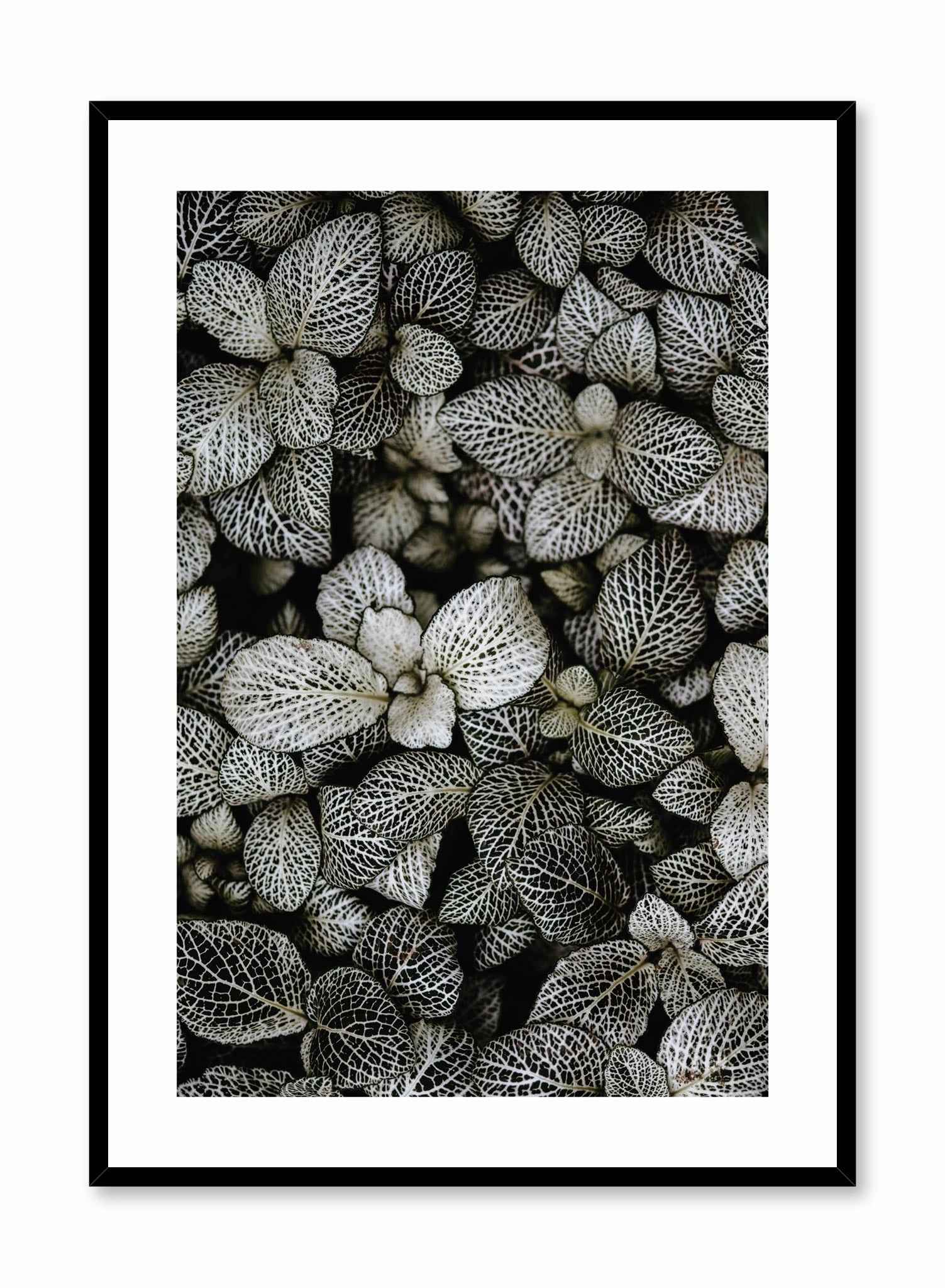 Patterned Leaves, Posterpop culture themed posters