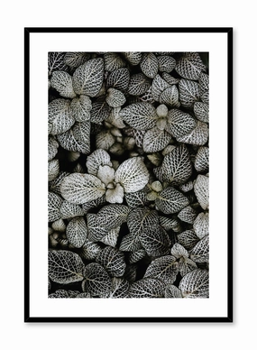 Patterned Leaves, Posterpop culture themed posters