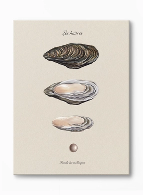 Pearl Chronicles, Canvasindoor decorative canvas print