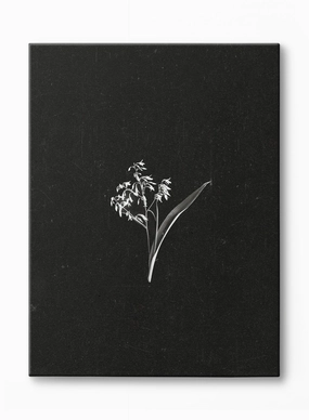 Petals in the Dark, Canvasindoor decorative canvas print