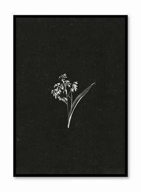 Petals in the Dark, Posterpop culture themed posters
