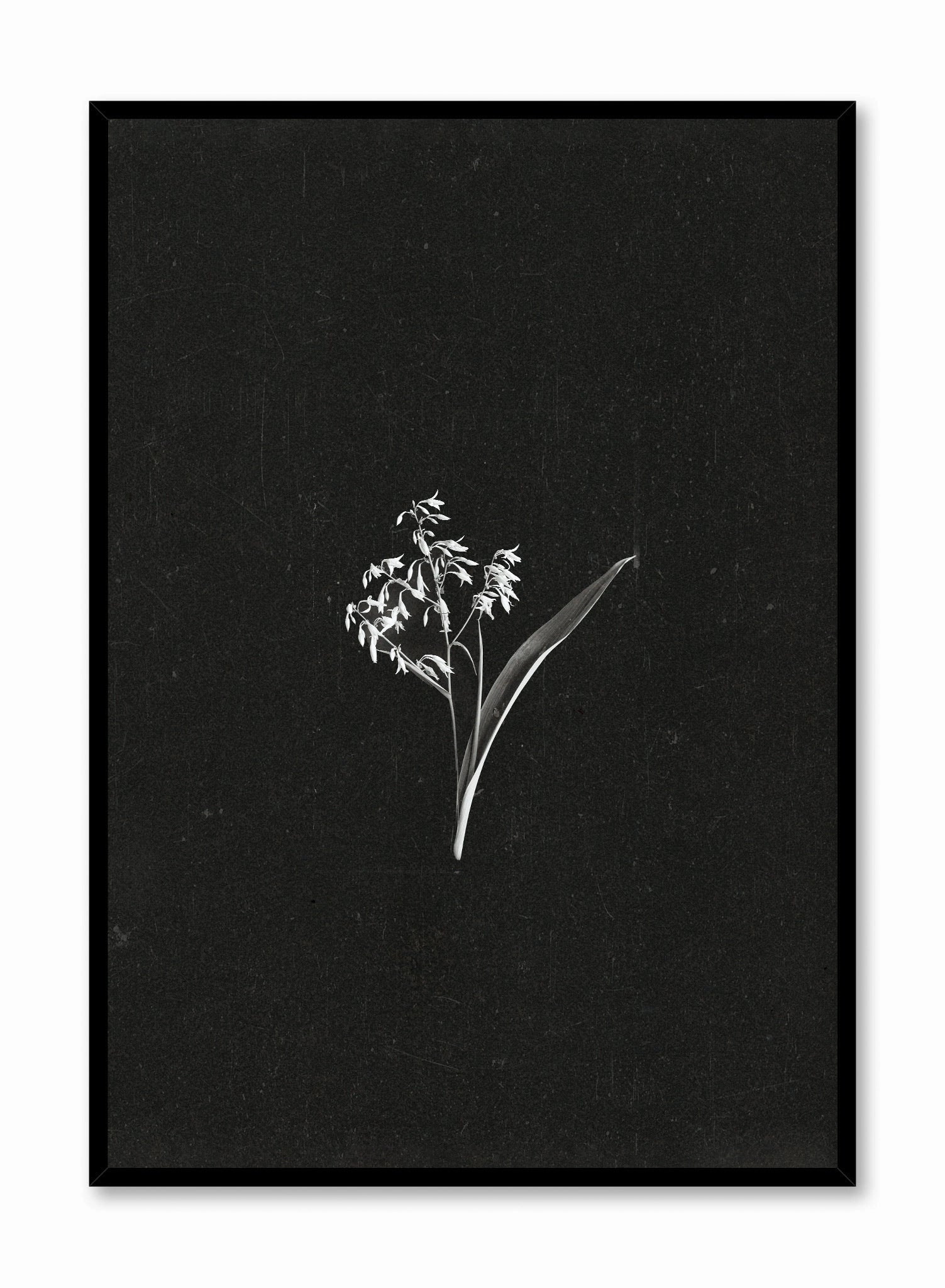 Petals in the Dark, Posterpop culture themed posters