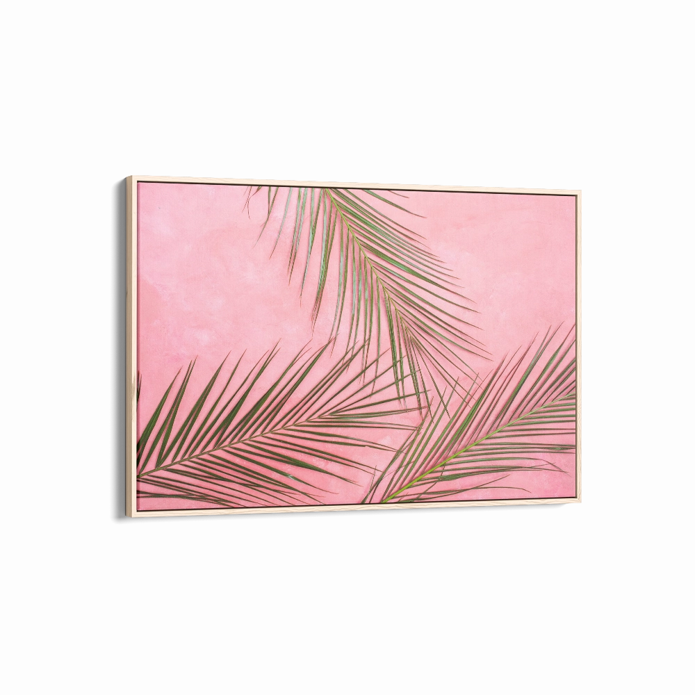 Pink Palms
