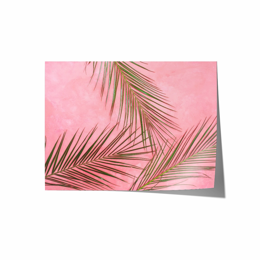 Pink Palms