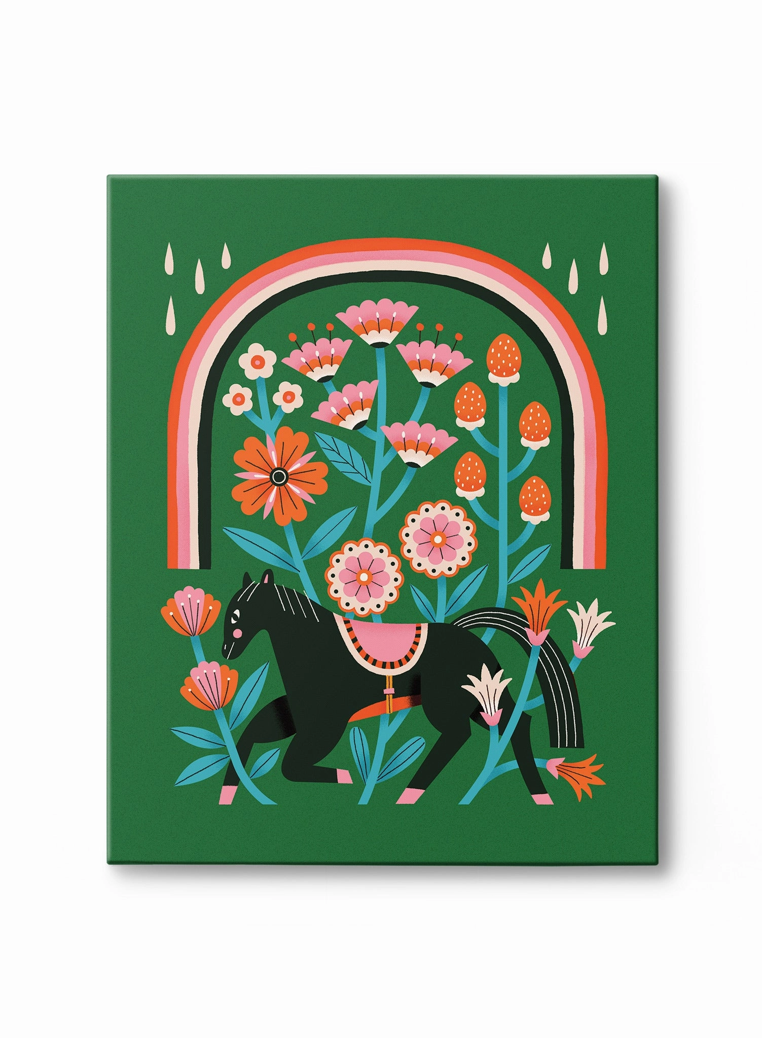 Pony Rainbows, Canvasindoor decorative canvas print