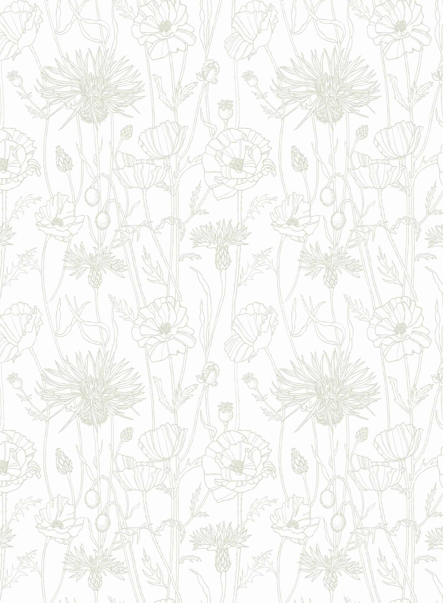 Poppy Field, Wallpaper