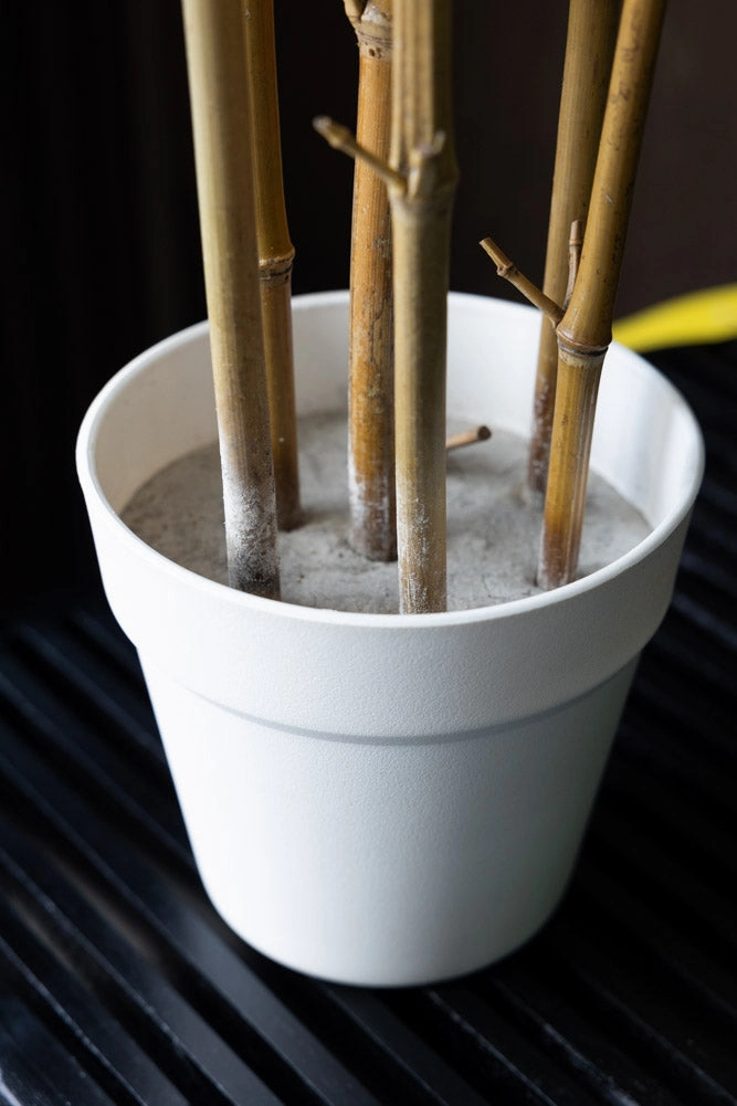 Potted Bamboo Ornament Natural
