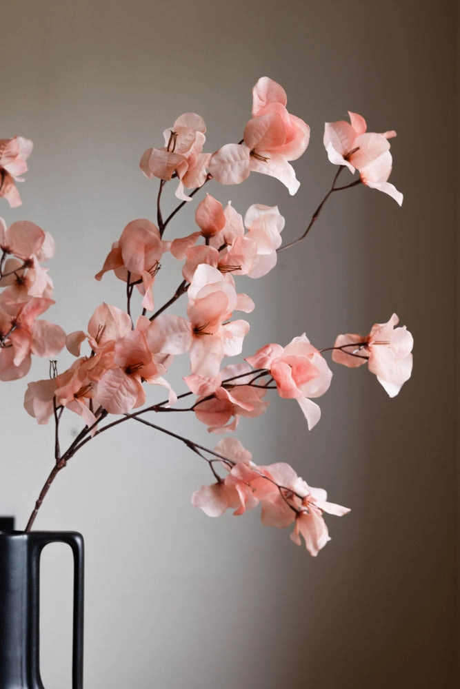 Pretty Pink Blossom Flower Stem