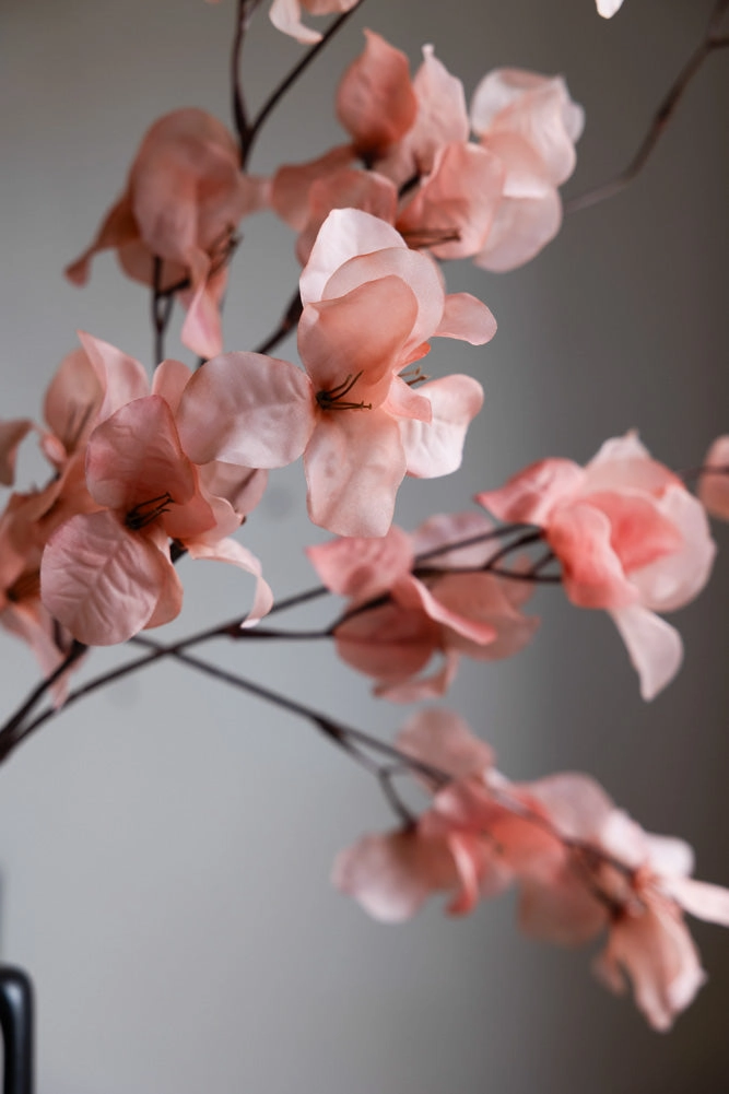 Pretty Pink Blossom Flower Stem