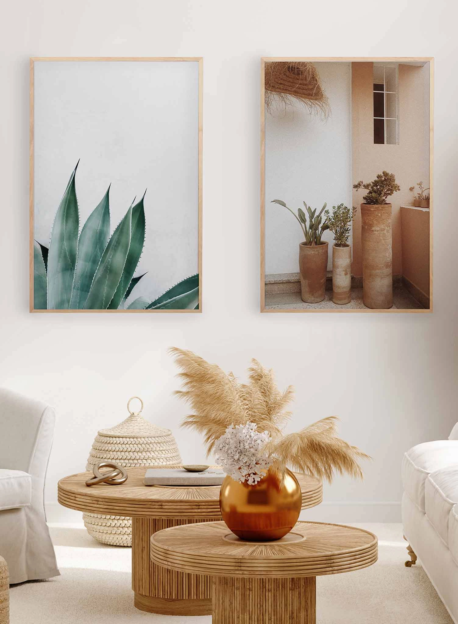Prickly Leaves, Poster