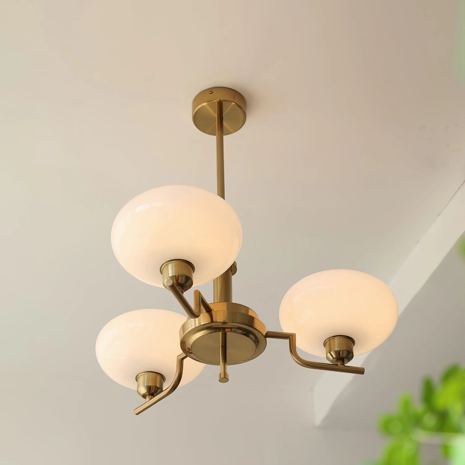 Puja Chandeliers