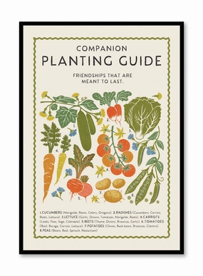 Purposeful Planting Guide, Posterpop culture themed posters