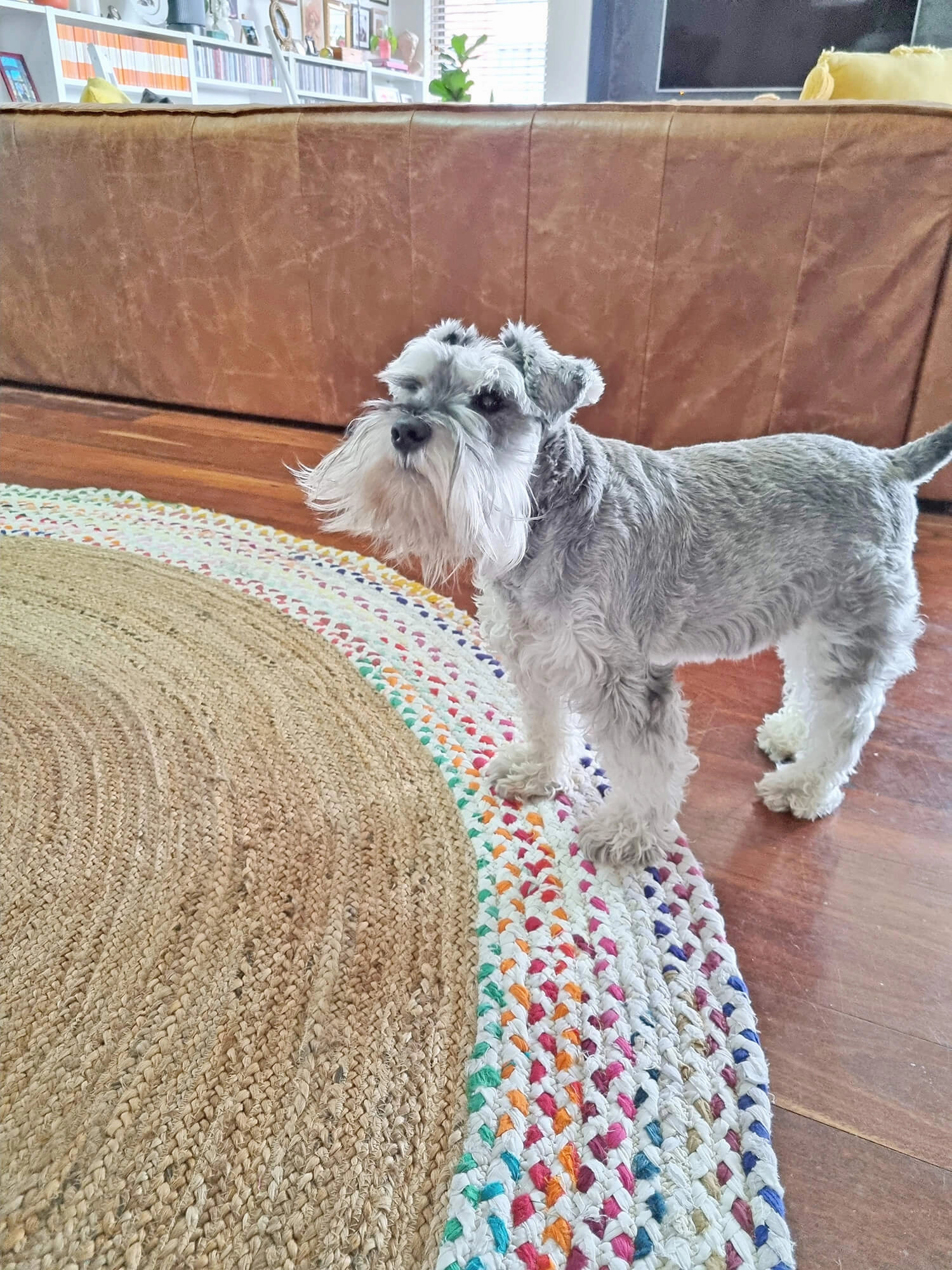 Ramona Multi-Colour Round Rug *NO RETURNS UNLESS FAULTY