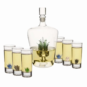 Retro Tequila Decanter Setnordic style desktop ornaments