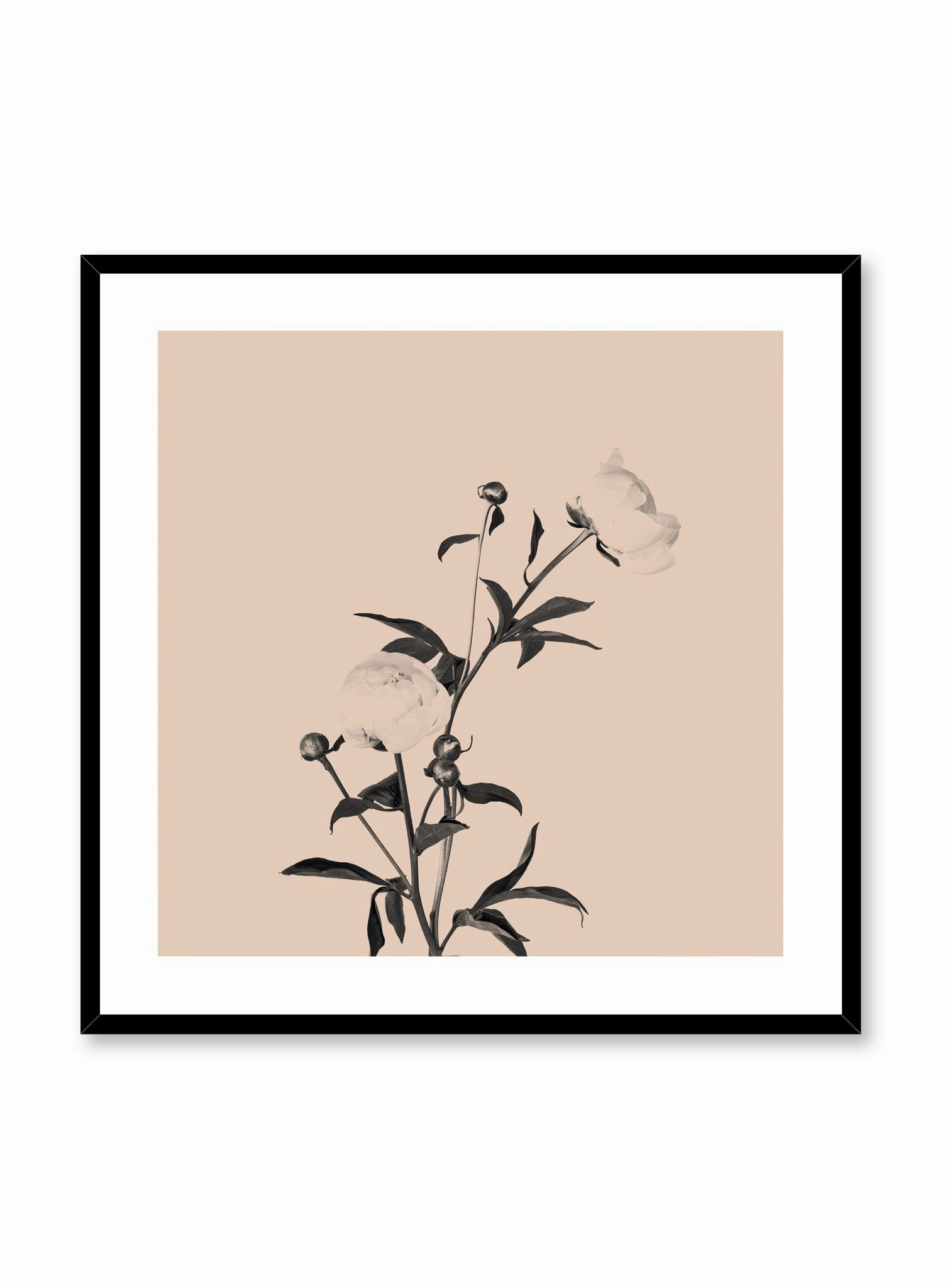 Romance in Beige, Poster