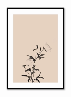 Romance in Beige, Posterpop culture themed posters