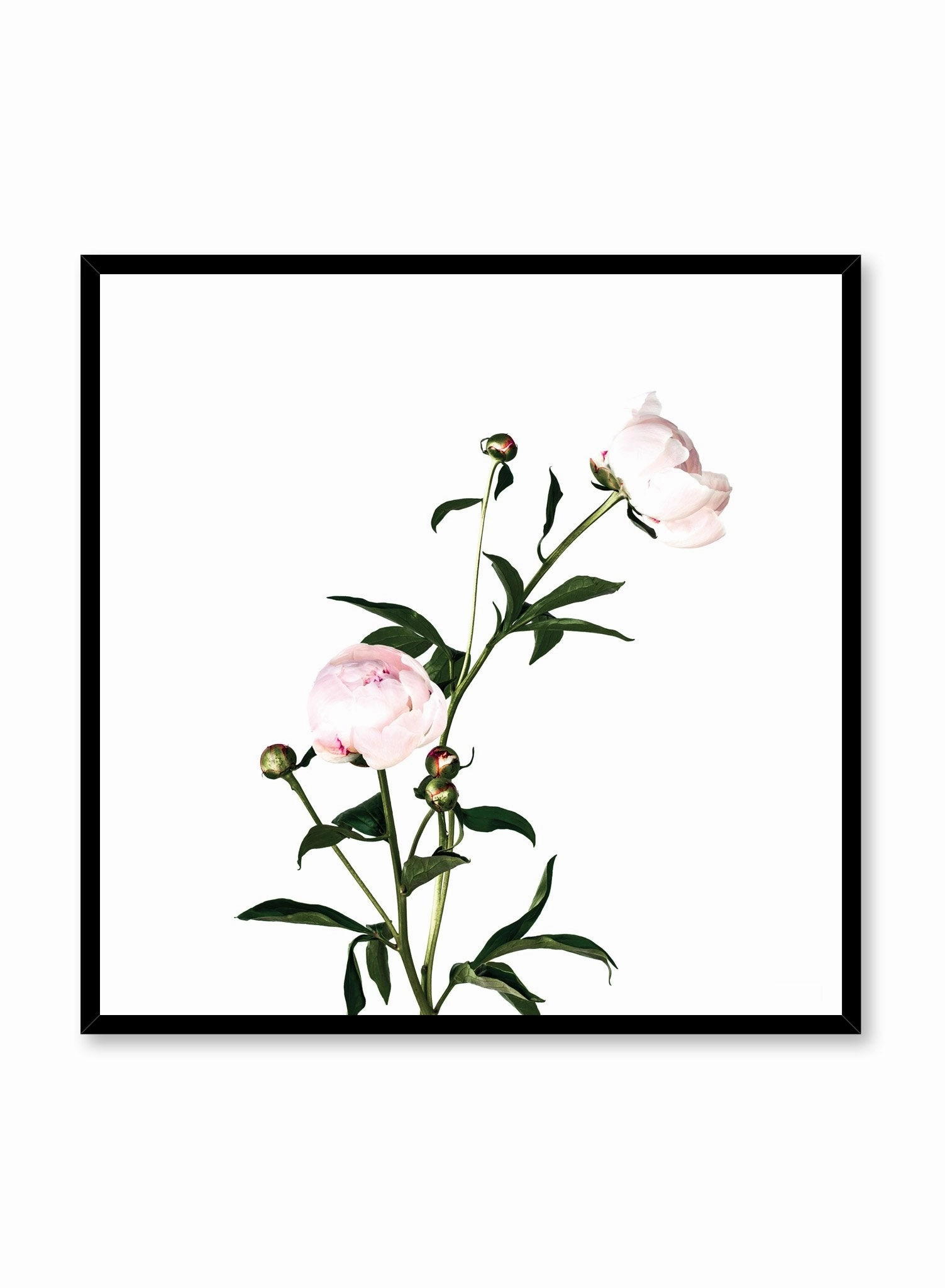 Romance, Poster