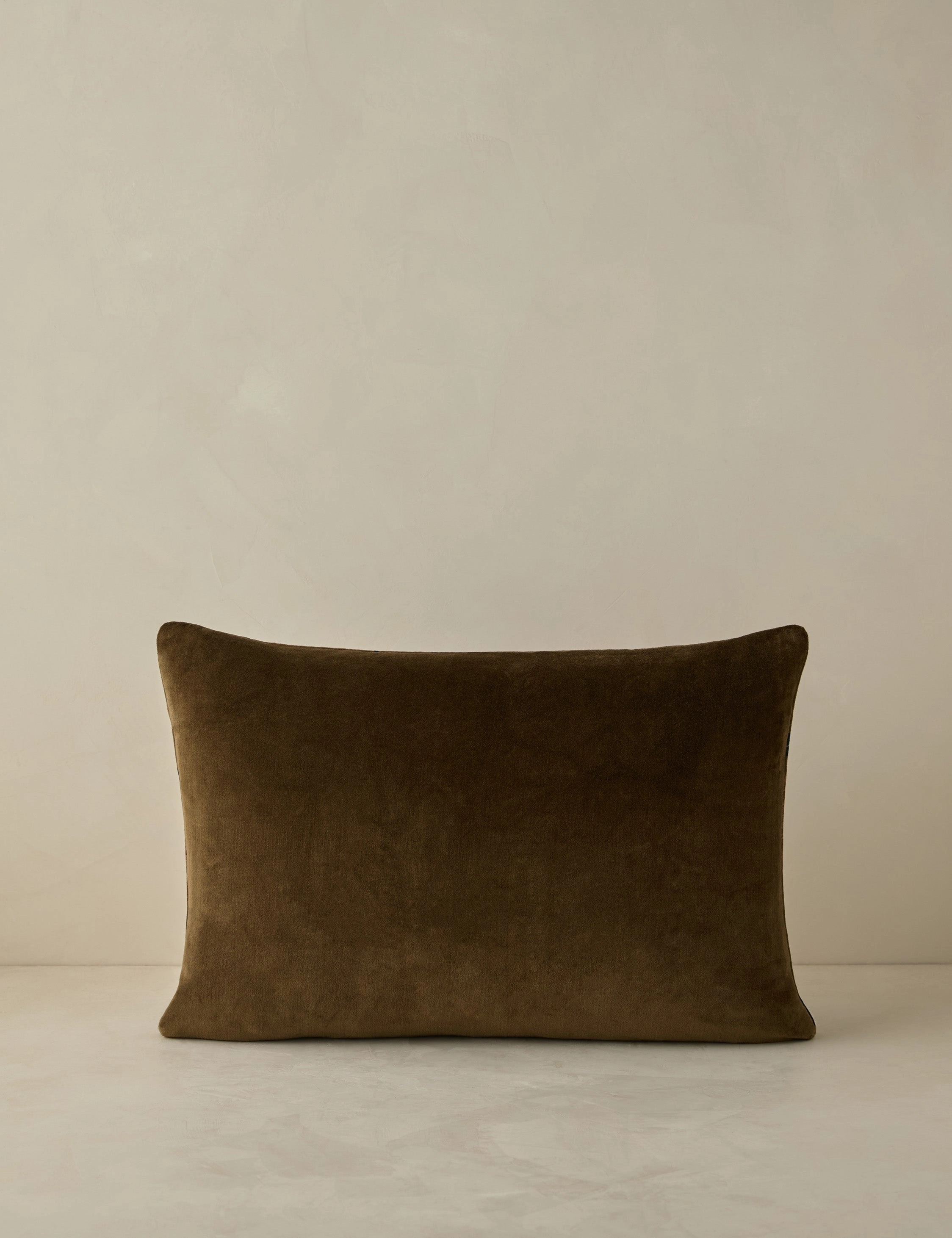 Royce Velvet Pillow