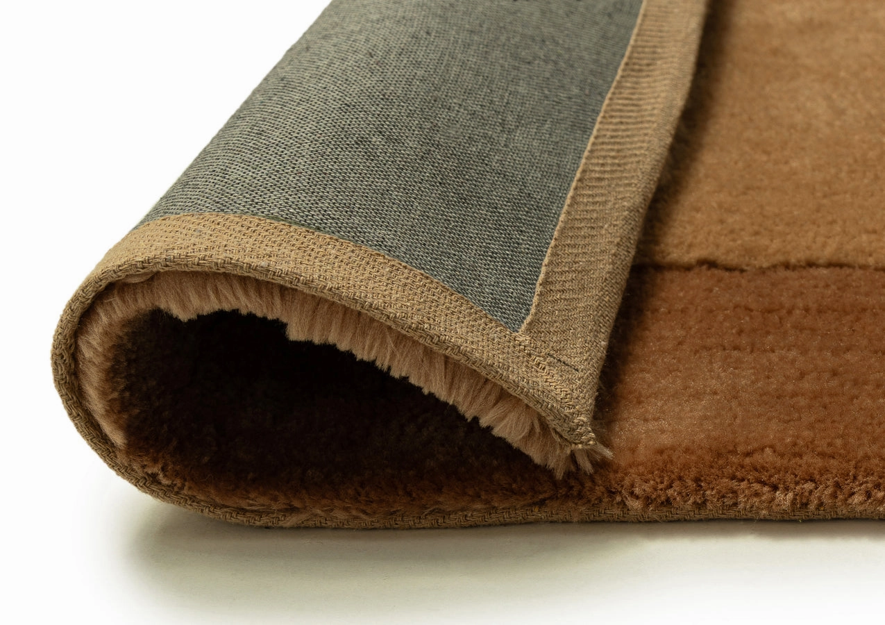 Rozanda Brown Bordered Shag Rug