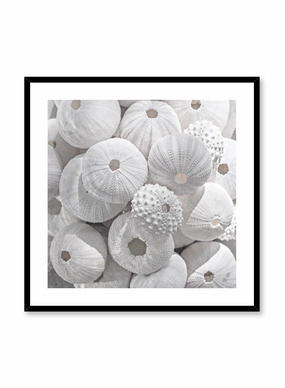 Sea Treasures, Posterpop culture themed posters