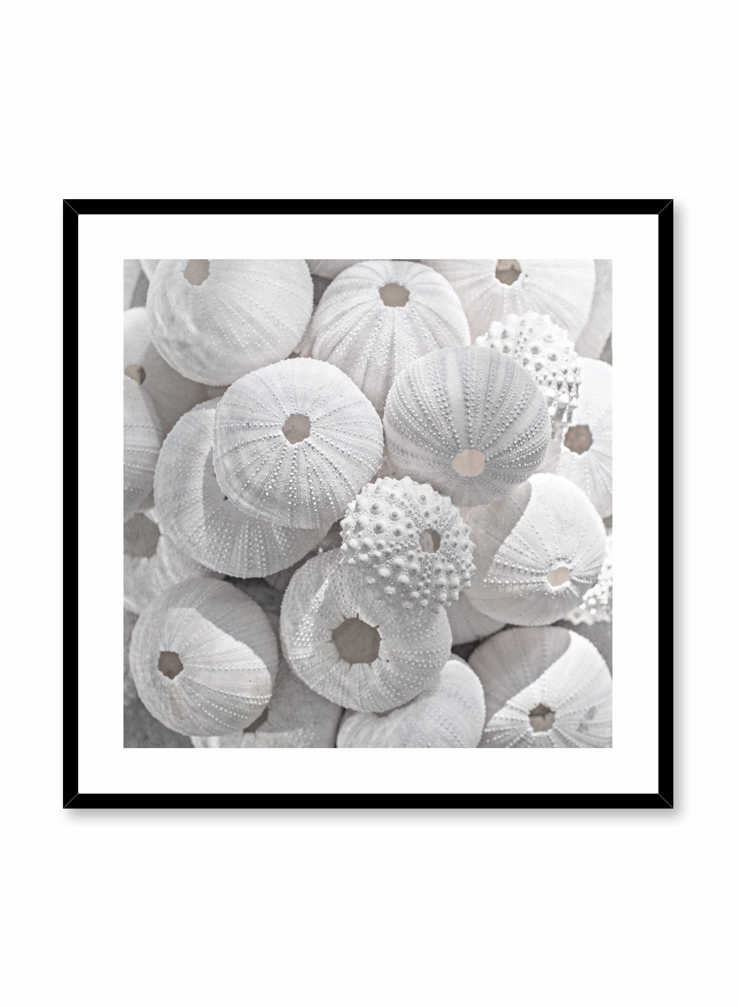 Sea Treasures, Posterpop culture themed posters