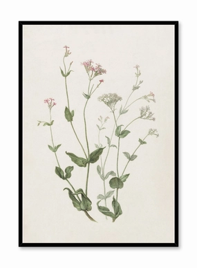 Senna & Catchfly, Posterpop culture themed posters