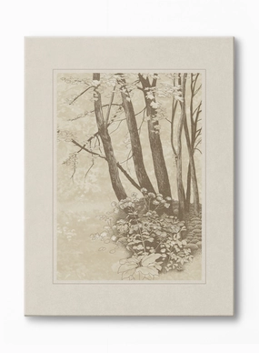 Sepia Treetops, Canvasindoor decorative canvas print