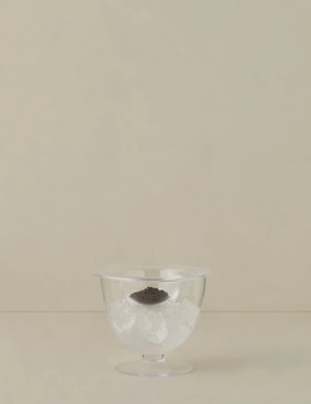 Serve Caviar Set by LSA Internationalhome decor ,wall decor 