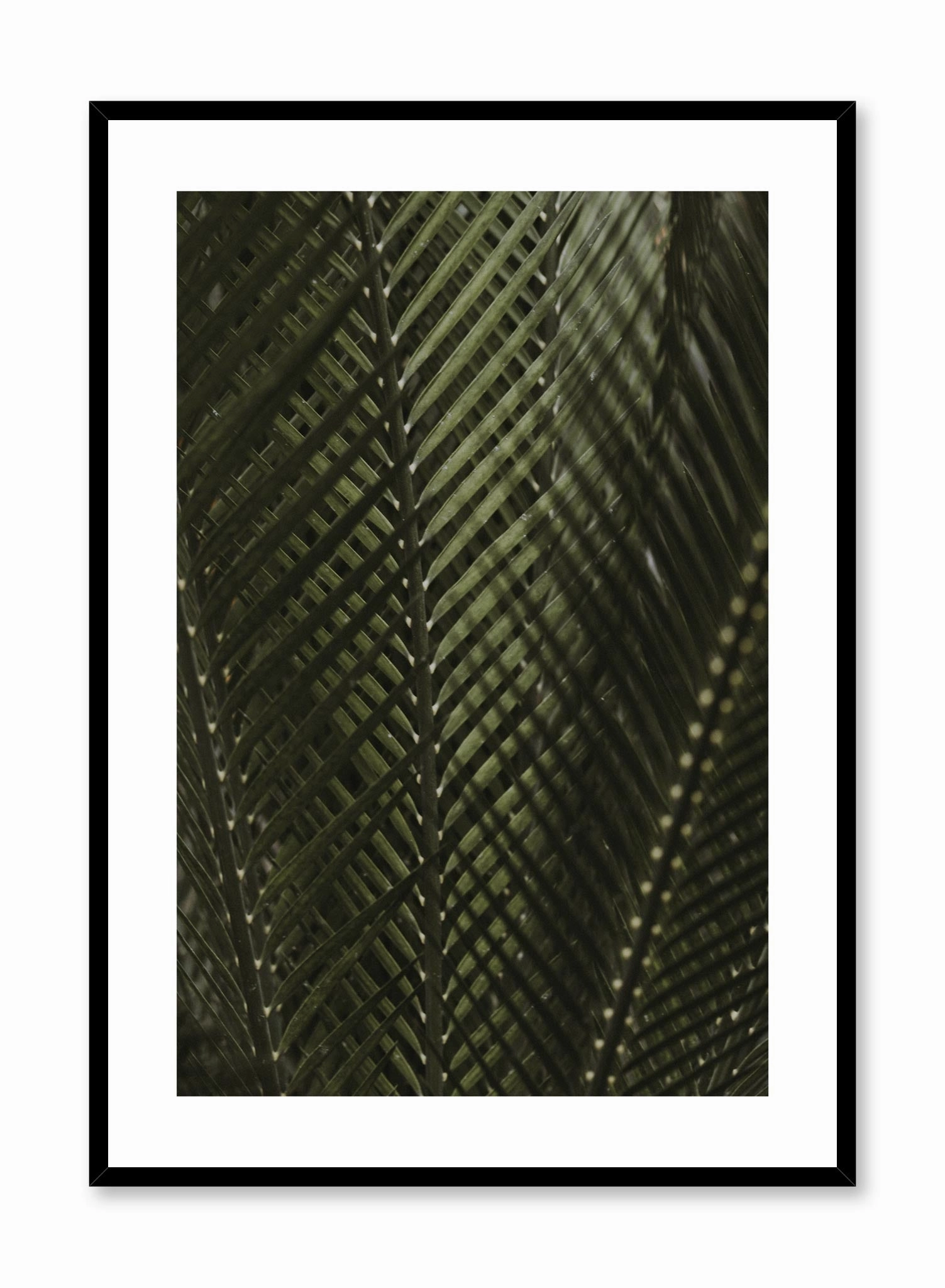 Shadowy Fern, Posterpop culture themed posters