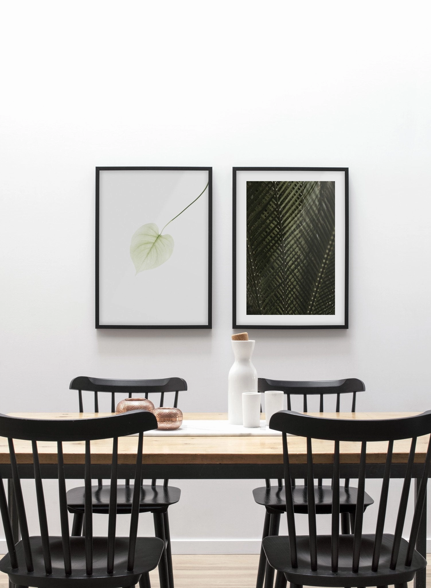 Shadowy Fern, Poster