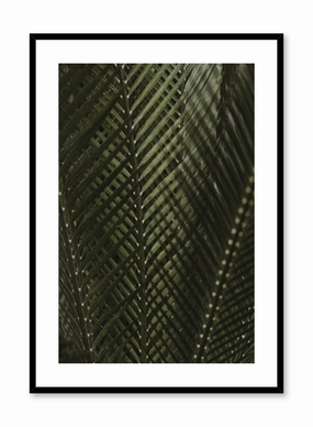 Shadowy Fern, Posterpop culture themed posters