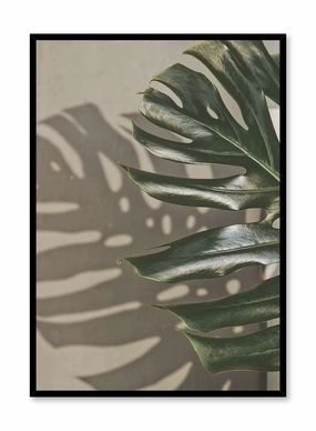 Shady Monstera, Posterpop culture themed posters