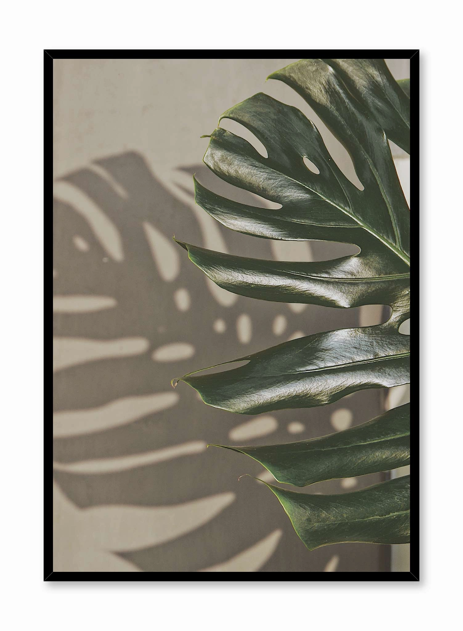 Shady Monstera, Posterpop culture themed posters