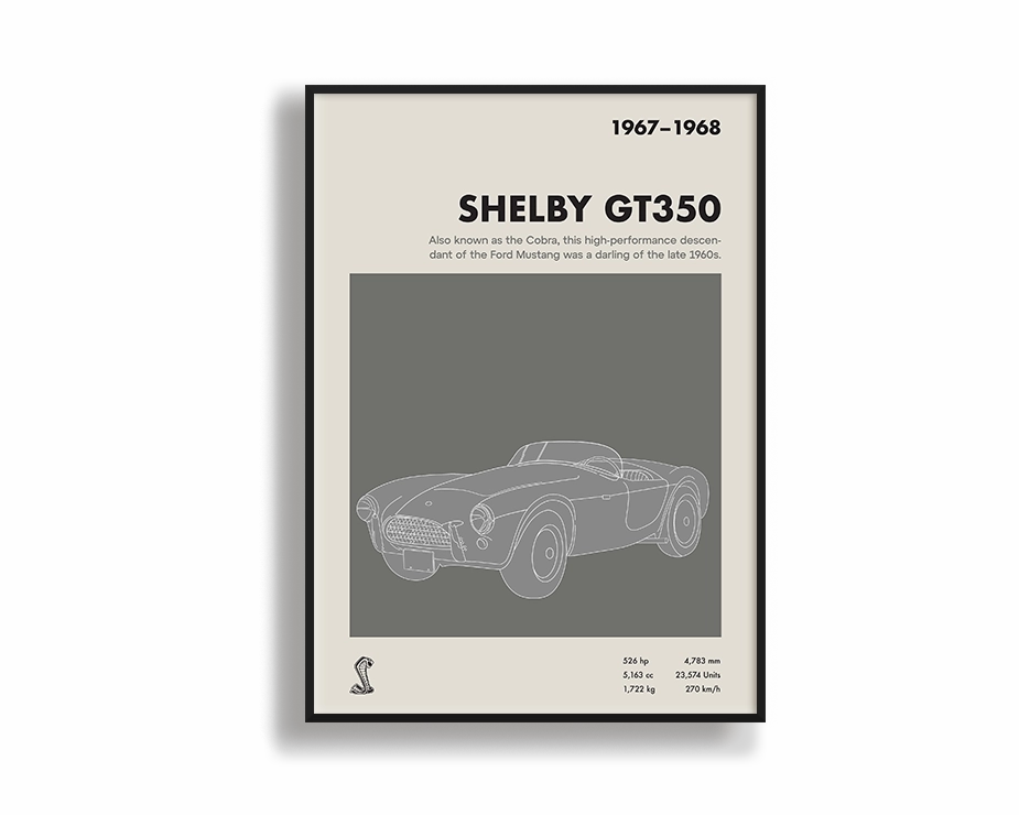 Shelby GT350 Portraitmodern abstract painting decor