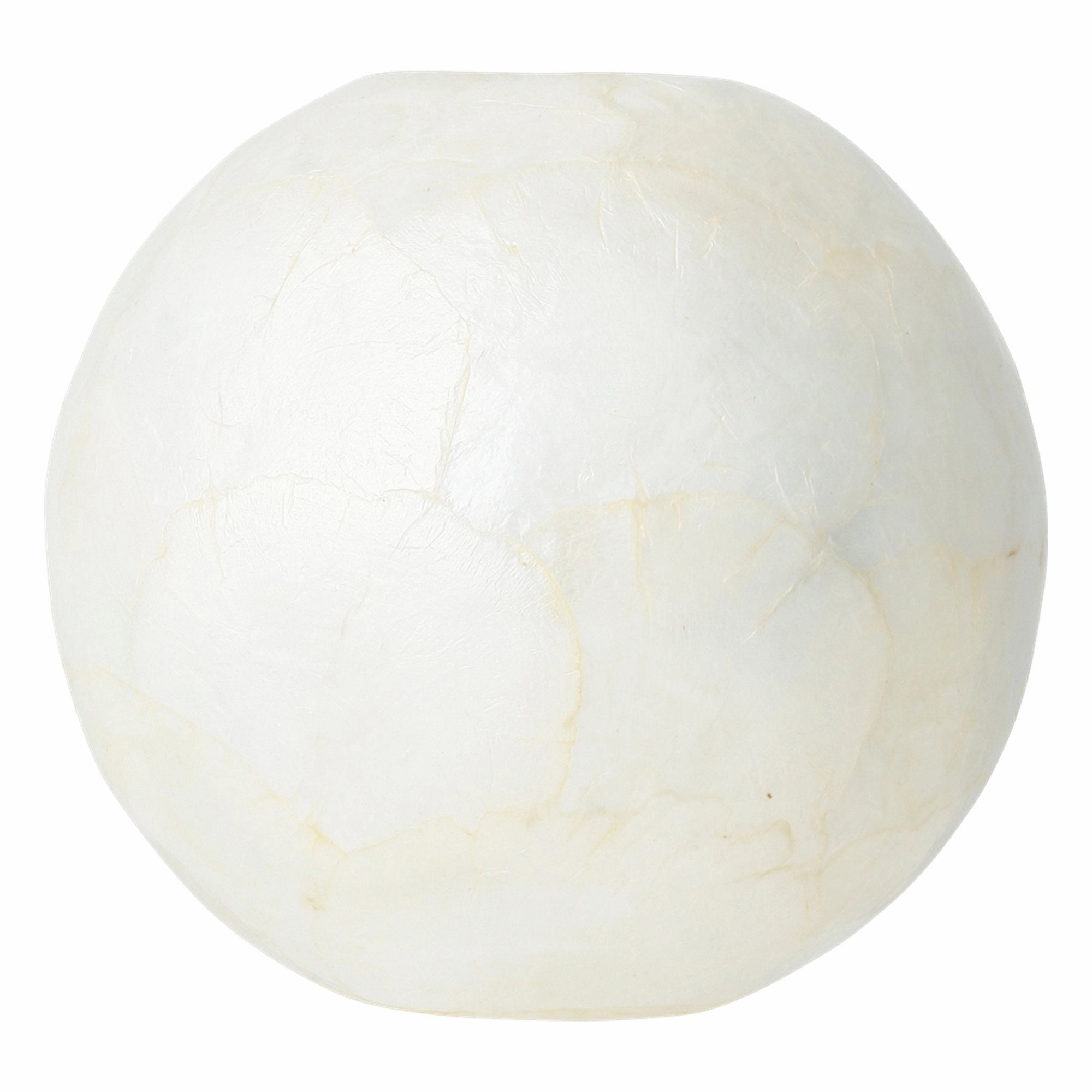 Shell Flower Vase Large Whitenordic minimalist vase