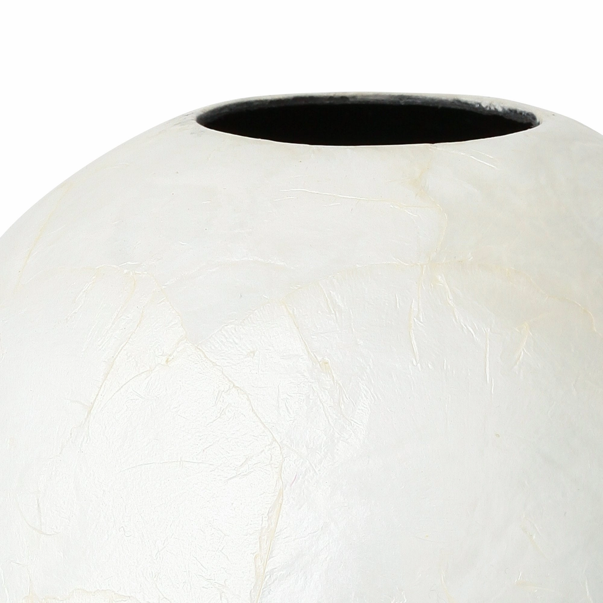 Shell Flower Vase Large White