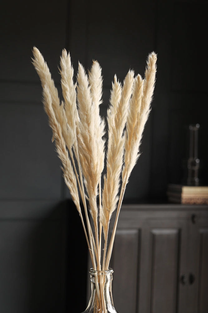Short Natural Pampas Grass Bunch