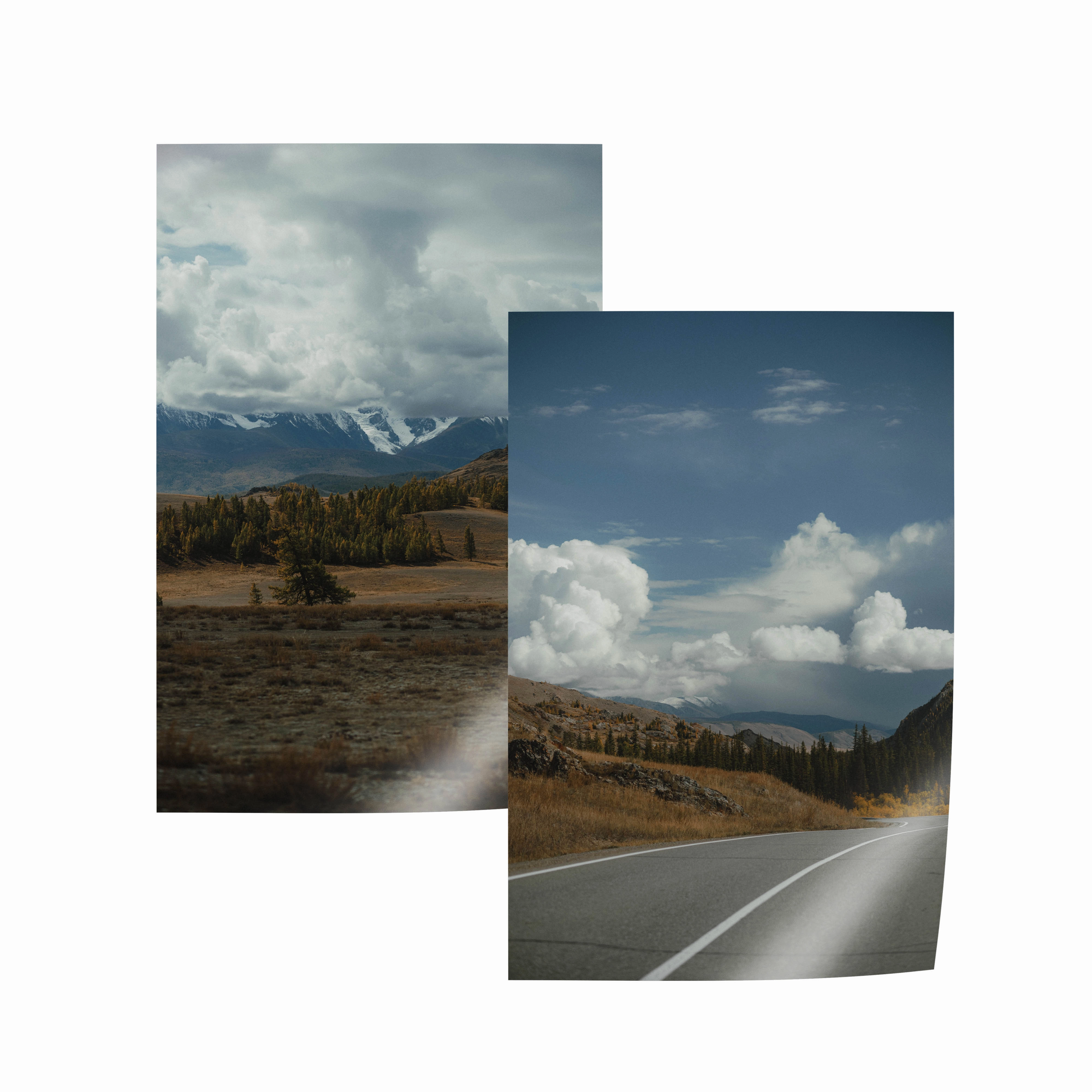 Sight Set INCLUDES TWO PRINTS