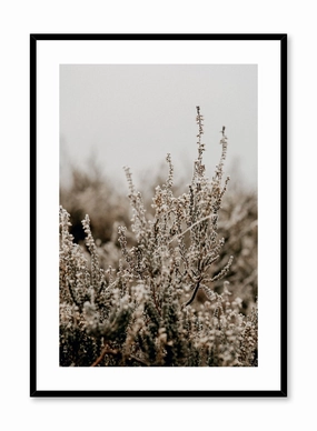 Silvery Seedheads, Posterpop culture themed posters