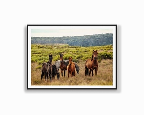 Snowy Mountain Brumbiesmodern abstract painting decor