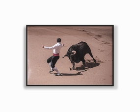 Spain Charging Bullmodern abstract painting decor