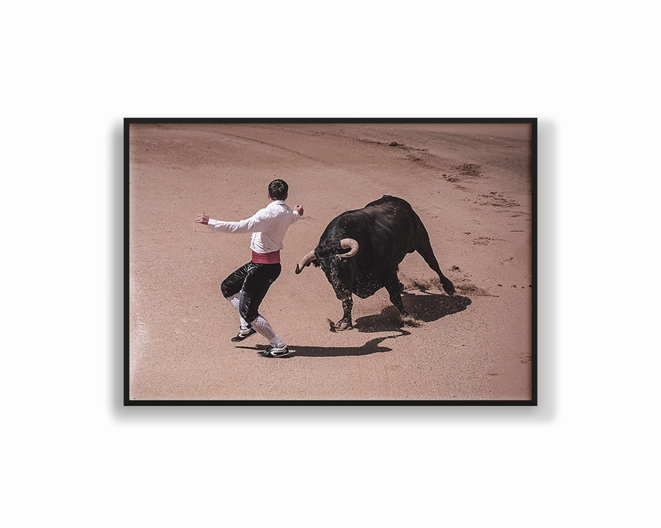 Spain Charging Bullmodern abstract painting decor