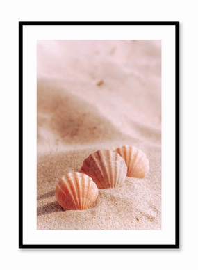 Sweet Seashells, Posterpop culture themed posters