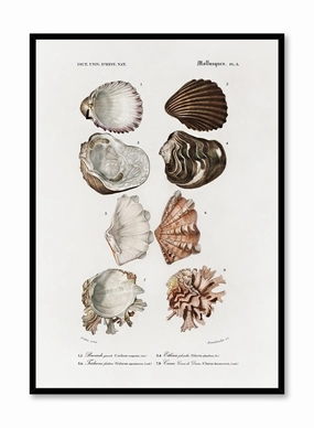 Tidepool Treasures, Posterpop culture themed posters